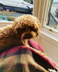 Current Year 11 - 2 more weeks of exams!!