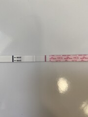 8dpo and obsessed with POAS