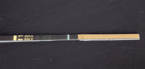9dpo cheapie test