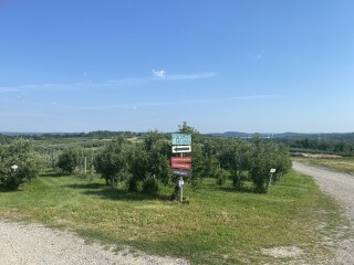 Come and tell me your dull and unexciting news 23: Calmly through the day 