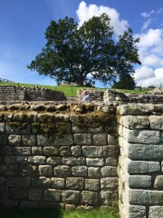 Northumbria
