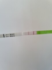 Is this positive ovulation test
