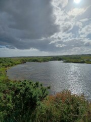 Come chat hiking with me!