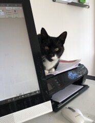 Elly Griffiths' Ruth Galloway novels (*possible spoilers)