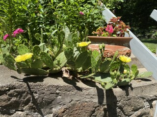 Come and tell me your dull and unexciting news 22: Calmly through the day