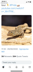 LGBTQ+cdrhbjiitgcdsrhhbjjjbcdfg comes to SCIENCE!