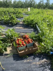 Come and tell me your dull and unexciting news 22: Calmly through the day