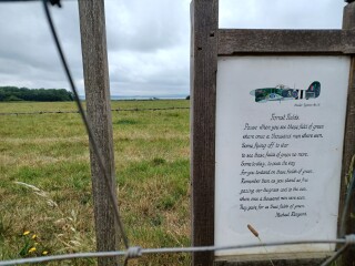 Come chat hiking with me!