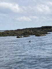 Come and tell me your dull and unexciting news 22: Calmly through the day