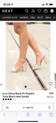 Block Heel Gold Sandals