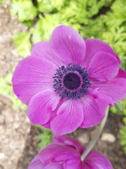 Show Us Your Pictures 6