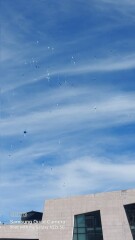 To ask you to download the Noah Donohoe song?