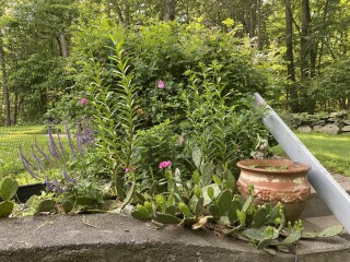 Come and tell me your dull and unexciting news 22: Calmly through the day