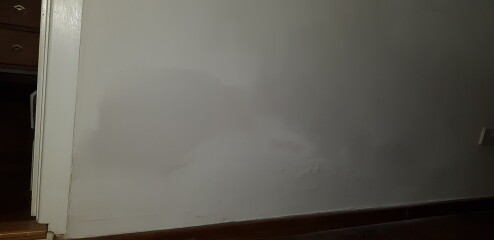 Rising damp patch on interior wall