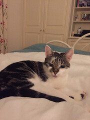 Current Year 11 - 2 more weeks of exams!!