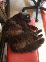 To a life well spent – RIP Cap'n V
