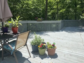 Come and tell me your dull and unexciting news 22: Calmly through the day