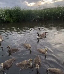 Any Witches Here? Part 16