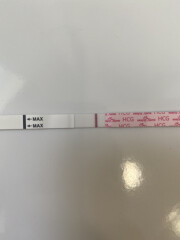 7dpo buddies