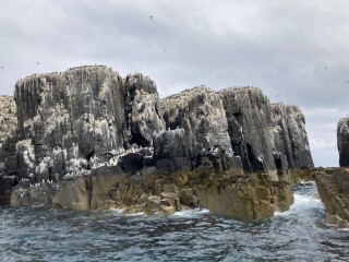 Come and tell me your dull and unexciting news 22: Calmly through the day