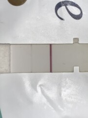 Positive pregnancy test or evap line? 