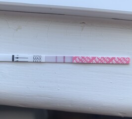 Ovulation 