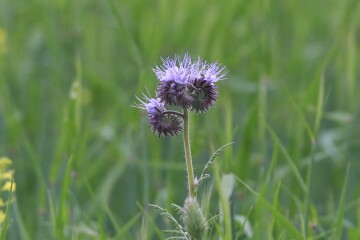 Come chat hiking with me!