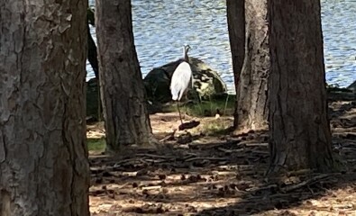 Come and tell me your dull and unexciting news 22: Calmly through the day