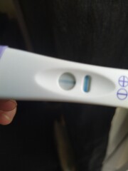 Pregnant or symptom spotting? 