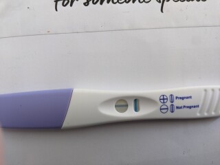 Continued chat of all things IVF, FET & to feel sane...cycle buddies August/September -