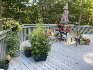 Come and tell me your dull and unexciting news 22: Calmly through the day