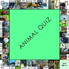 QUIZ GAME BOOKS