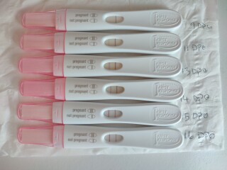 Due Feb/Mar after MC 🌈 🙈