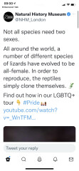 LGBTQ+cdrhbjiitgcdsrhhbjjjbcdfg comes to SCIENCE!