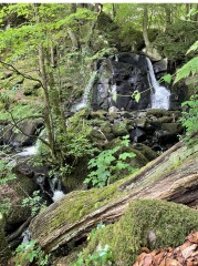 Come chat hiking with me!