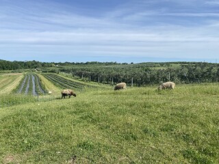 Come and tell me your dull and unexciting news 22: Calmly through the day