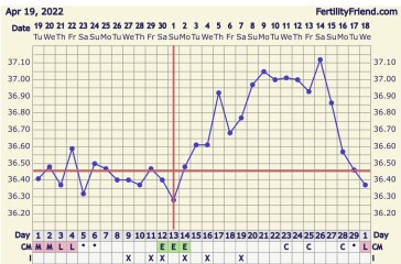 Trying to Conceive over 40 part 3