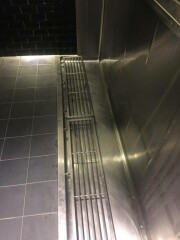 Dad in women's loo .