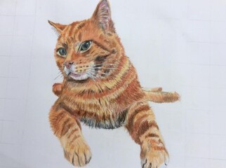To ask which painting you like best