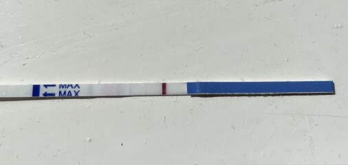 9dpo cheapie test