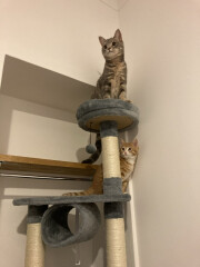 Is this the start of BFP?