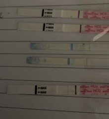 positive pregnancy tests in the evenings and negative in the day