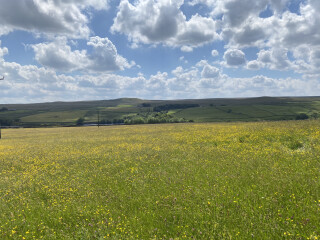 Why We Eat (Too Much) Thread 5