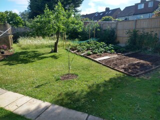 The Vegetable Patch
