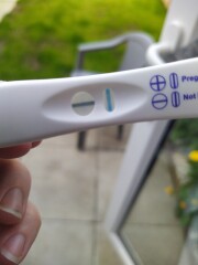 Pregnant or symptom spotting? 