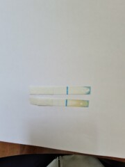 Faint line on preg test - 4 days before due on