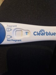 FRER Evap?