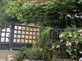 Anyone escaped proofed their garden?