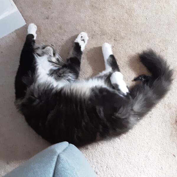 Come and tell me your dull and unexciting news 23: Calmly through the day 