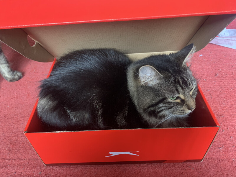 To a life well spent – RIP Cap'n V
